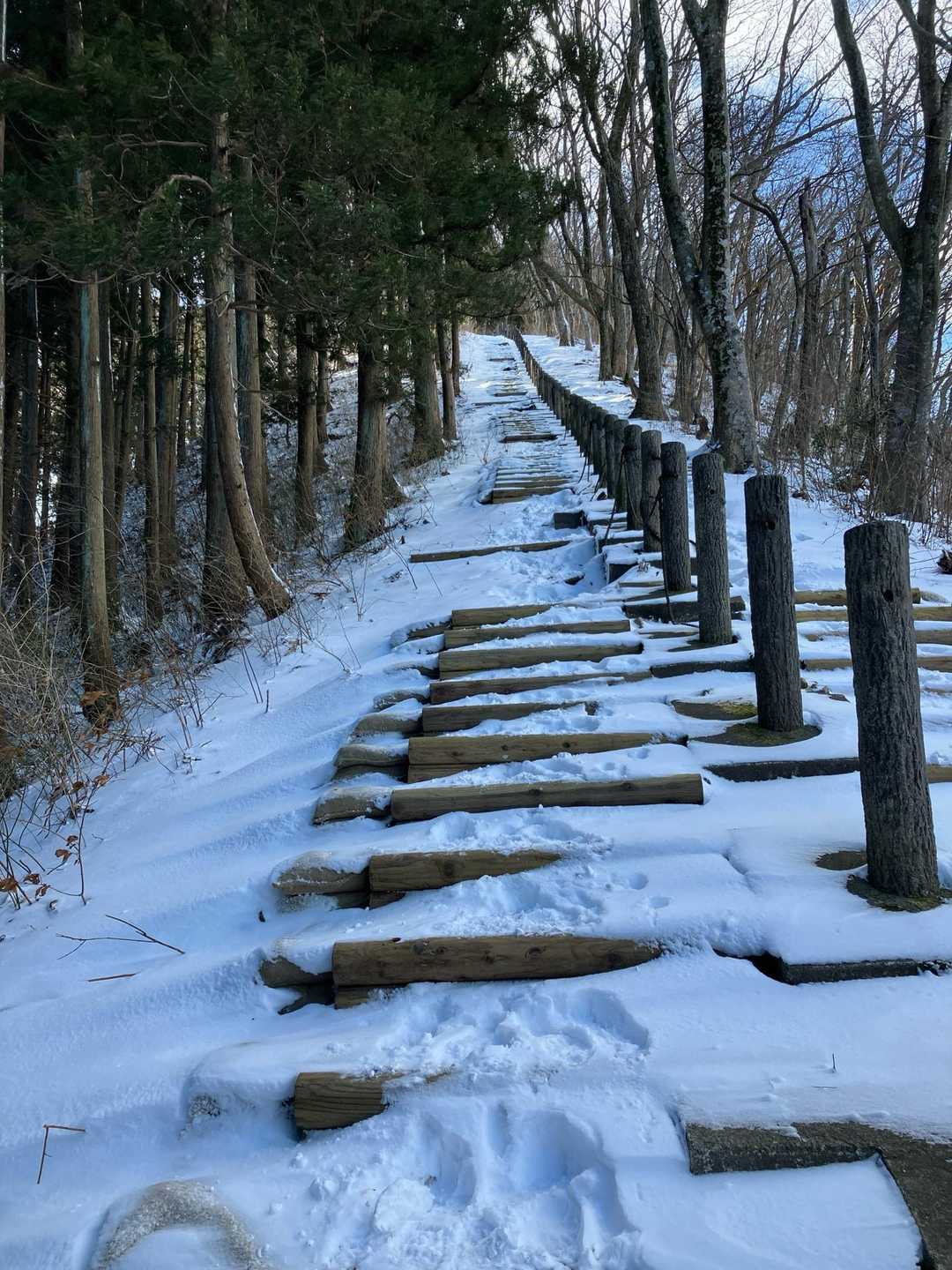 整備終わったみたい。中途半端な整備？