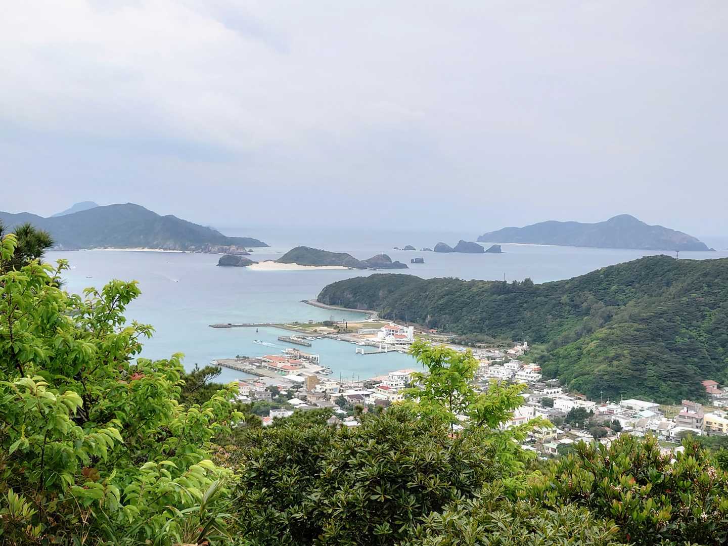 座間味港集落