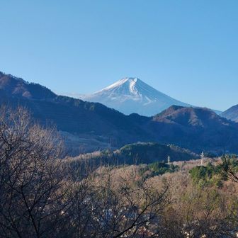 お伊勢山からの富士３（山）

写真左下の木はたぶん桜じゃないかと思うが
不思議なことにチラホラと花が咲いている