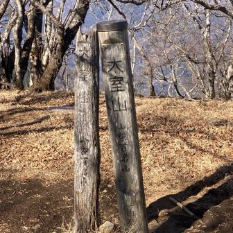 大室山山頂に到着