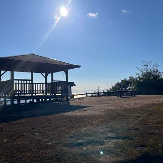 しばらく先に行くと、初めて開けたところに。
桜の森広場。
頂上で折り返さず、ここまでは絶対来るべき。