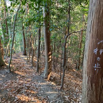久しぶりに、ここ下ります！