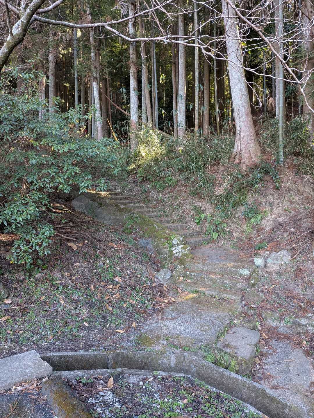 こっから山道
(⁠☞ﾟ⁠ヮﾟ⁠)⁠☞