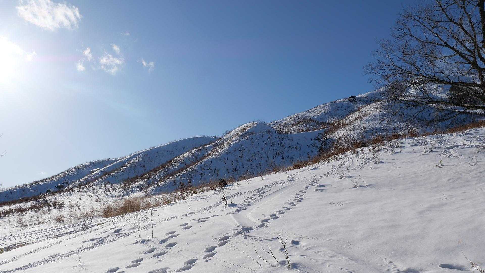 快晴で風も弱く快適だった

道が出来ており程よく雪は締まっているので、スノーシュー・ワカン無しでも歩けます