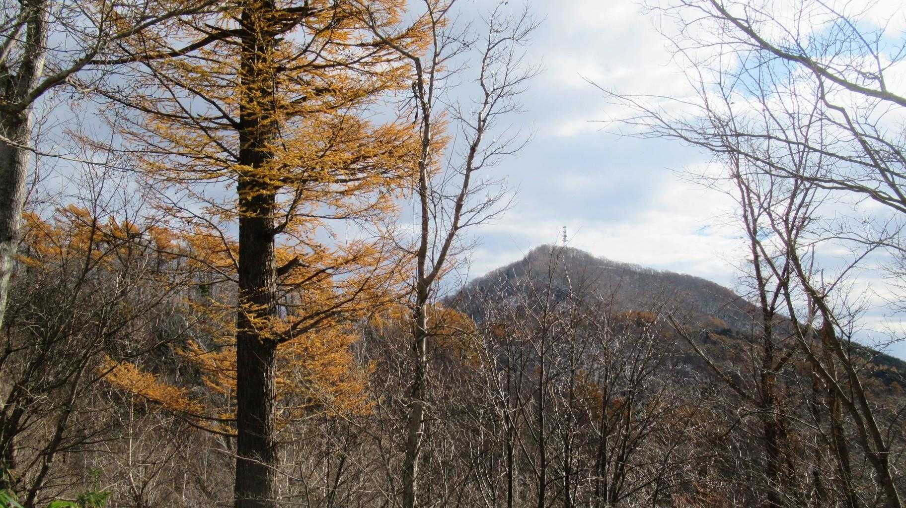 今日はお天気と時間が…それでも癒される初冬の景色
バレーヌさんに教えて頂いたお気に入りPOINTから🌲