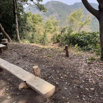 Lots of nice benches in many spots along the trail