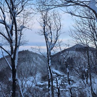 金峰山と男亀森。
時間があるときに行こう。