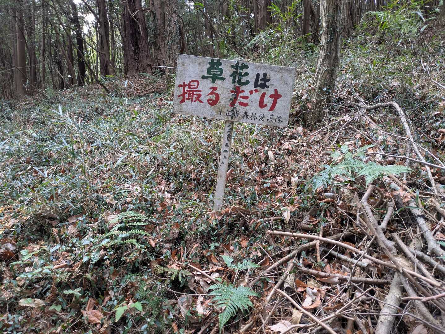 ですよね✦