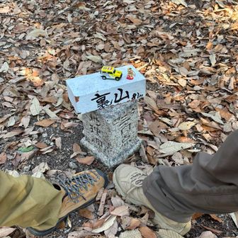 裏山〜⛰️いつもの〜🥾