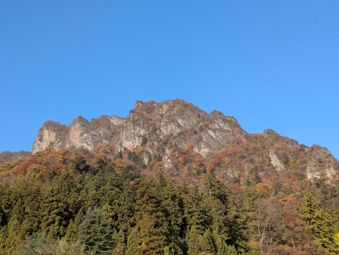 スタートから山容がドン。後で妙義山は白雲山と金洞山と金鶏山から成り、写真が白雲山で一番左が相馬岳と知る。