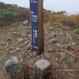 嶮岨森…読めませんでした…😂…Kensomori…