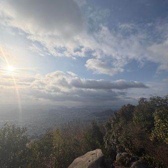 Good morning☀️
ひろしま