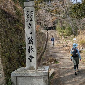 鷲林寺の中を通って　観音山に向けて