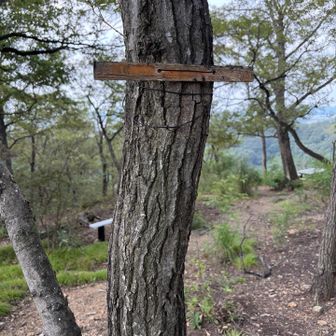 柴山、初登頂⛰️
看板が無くなってました🪧