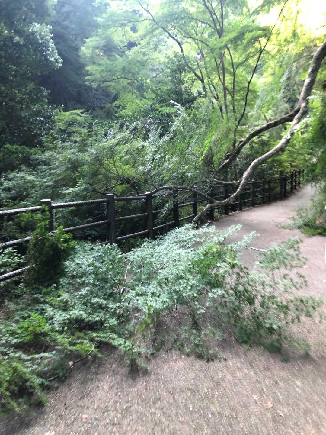 青紅葉が…

帰りによしよし撫でてあげました。