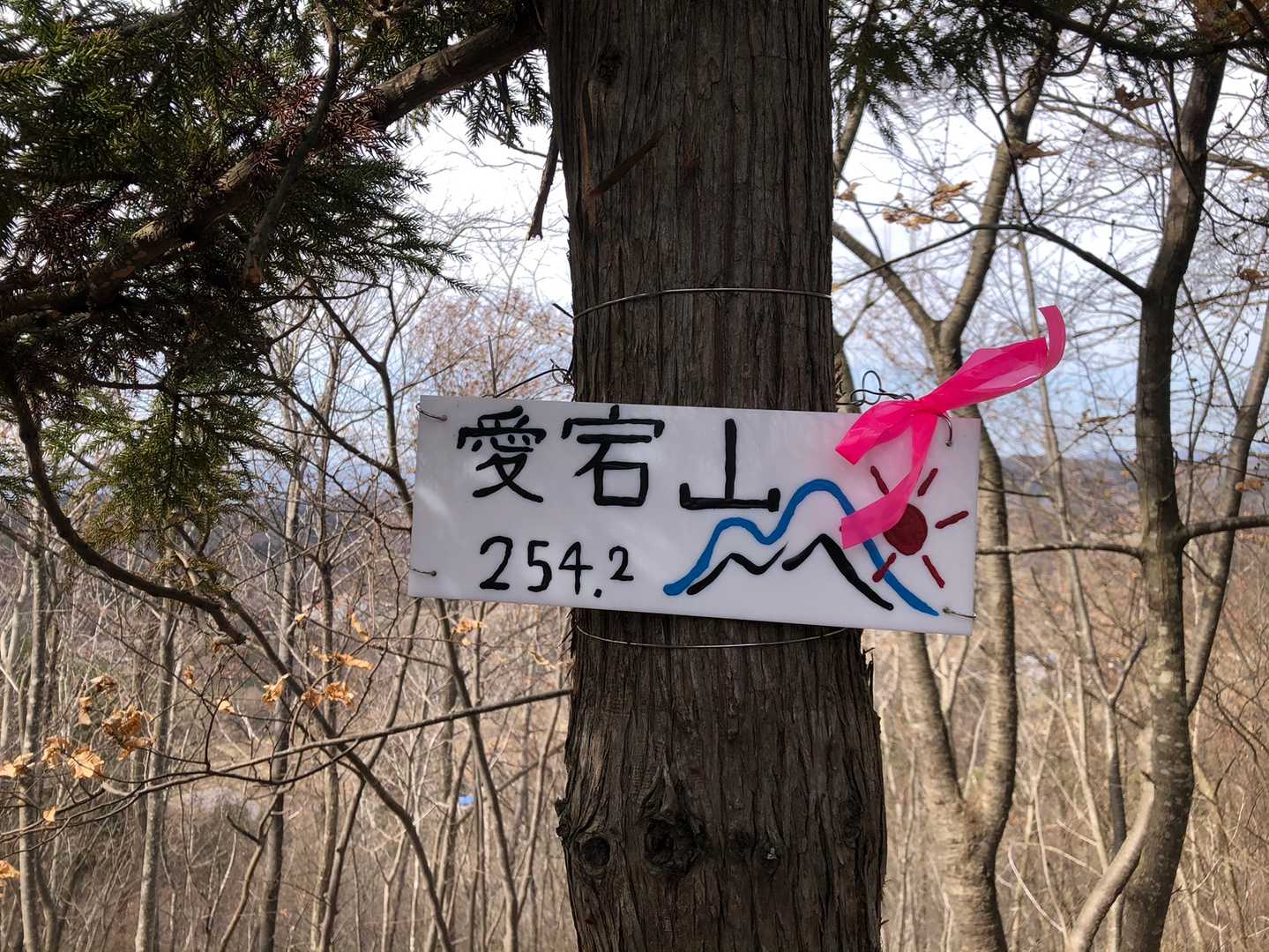 めたぼん師匠のプレート😁🎀
会えて嬉しいです♡