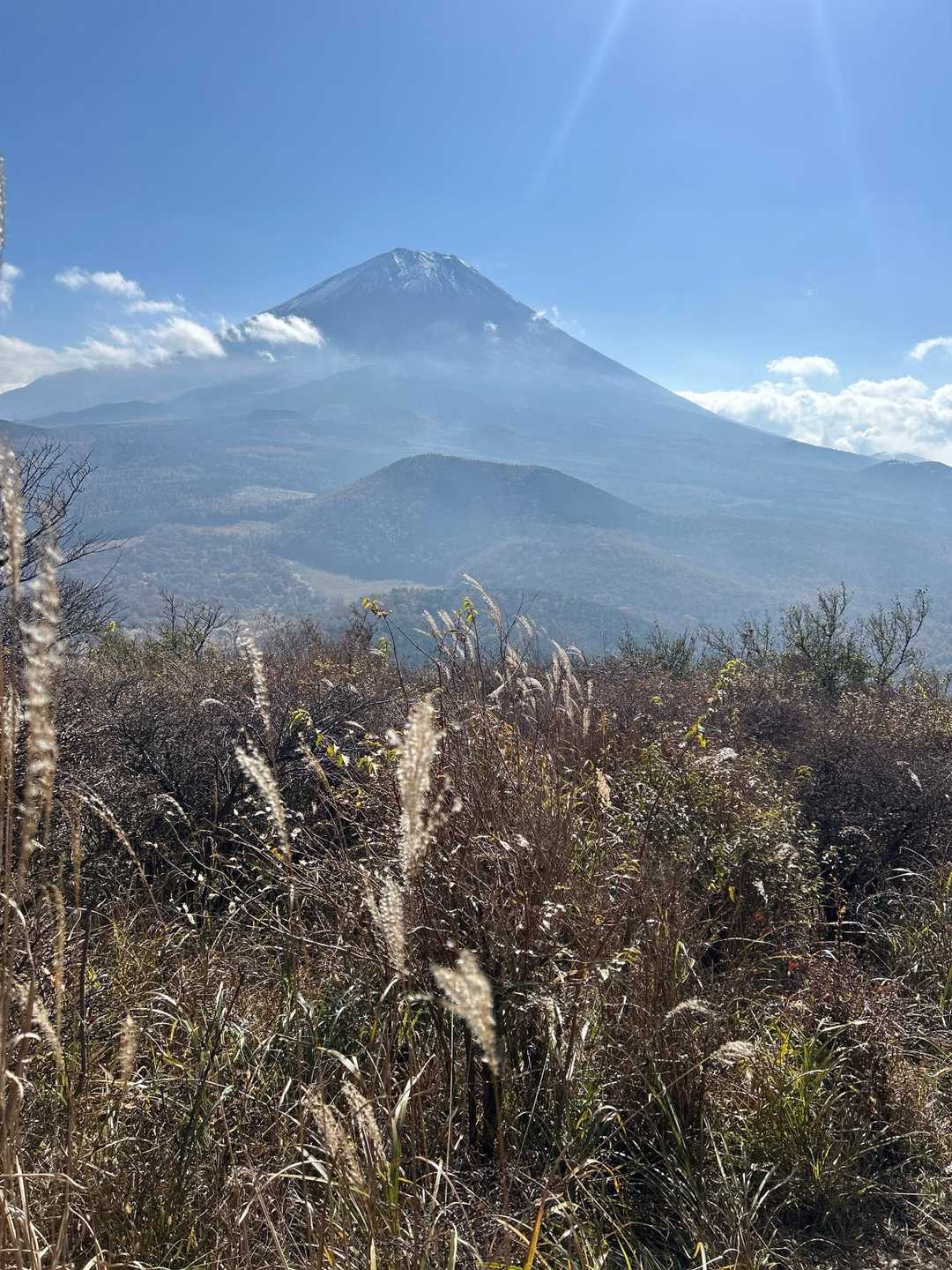 富士山が近い🗻
