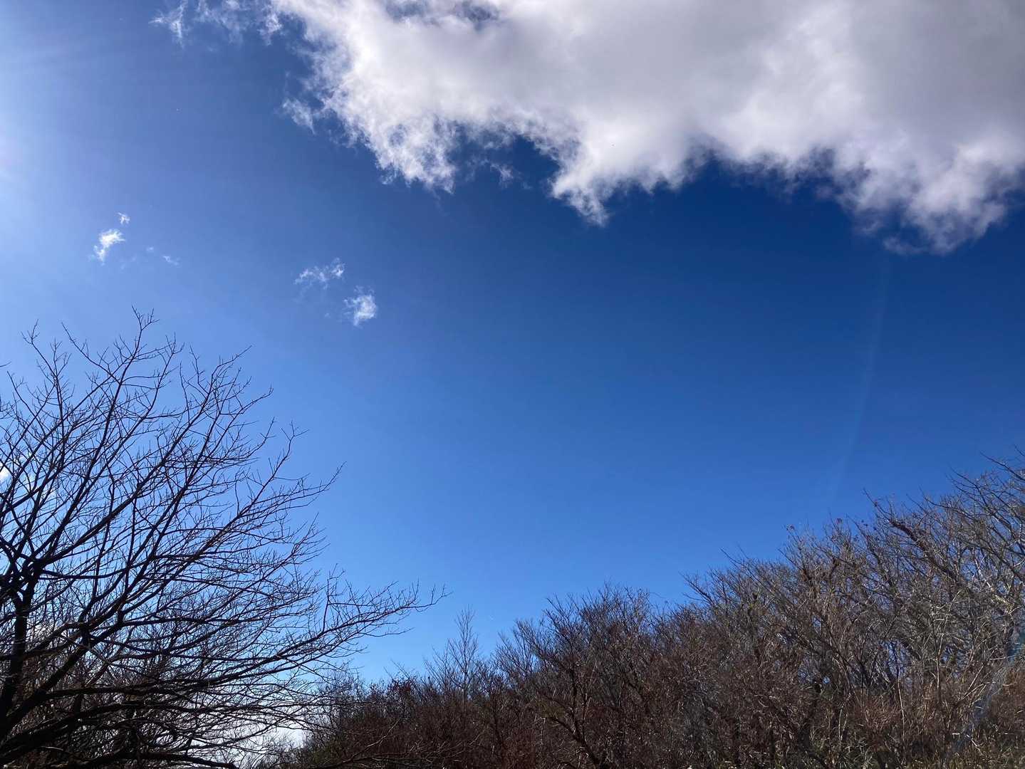 長尾山山頂からの空…💙