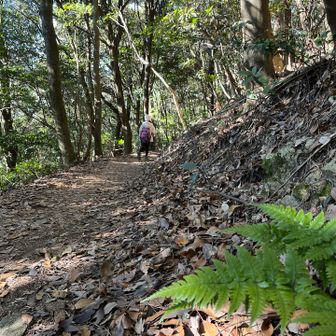 ずーっとこんな感じ！
ちょっと物足りない...😅