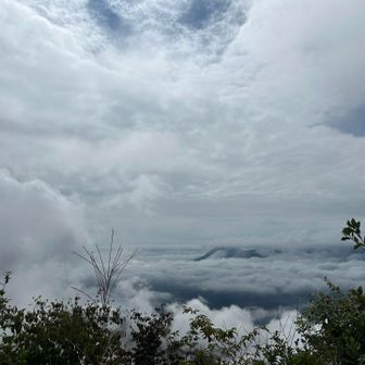 水沢山🏔´-は隠れてます🫡