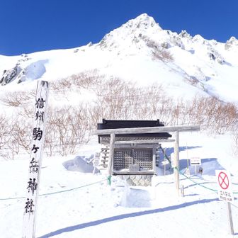 当然こちらにも👏
これで一応元旦三社詣り達成、かな？