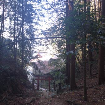 狸谷山不動院へ下山