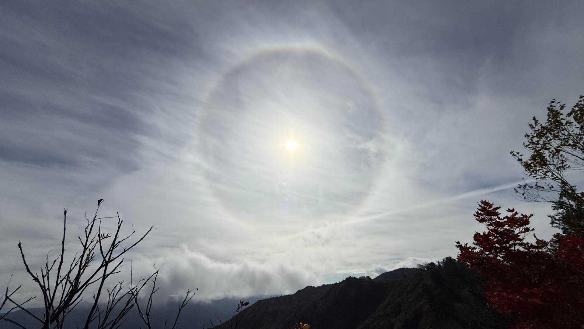 太陽の周りに輪が！ハロ現象と言うみたいです☀️