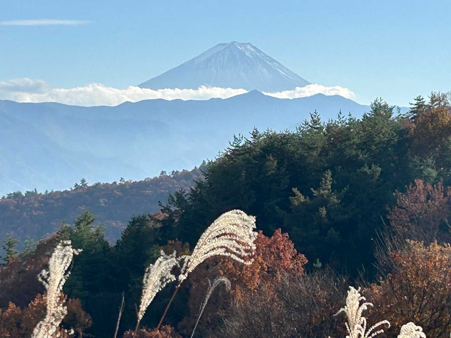棚山 往復コースの写真
