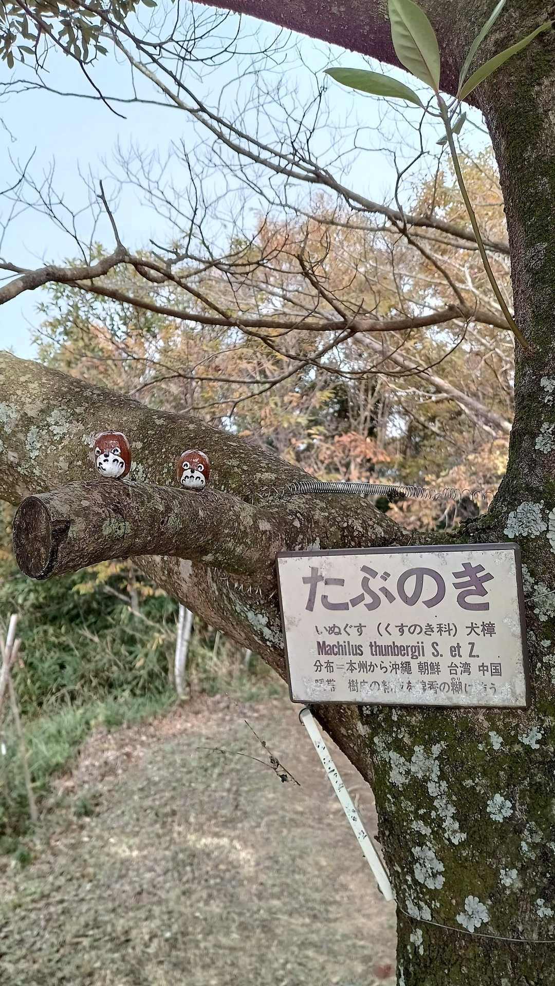 ……こんなところにもいる😀