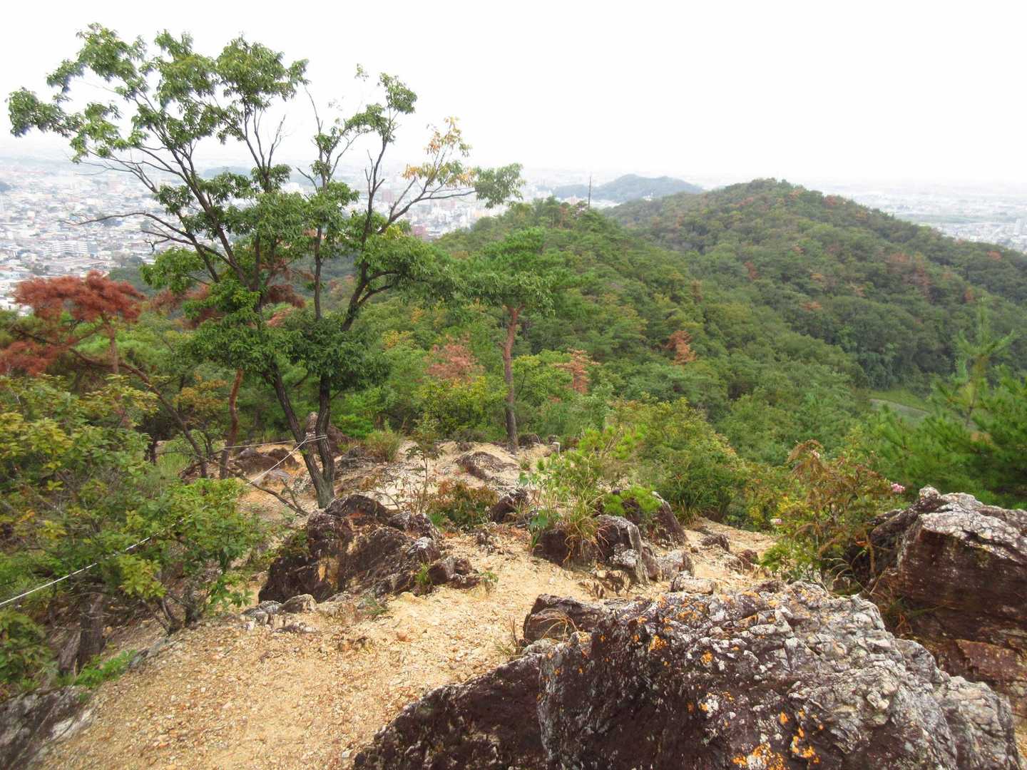 下りの登山道[両崖山展望台～明石山山頂]