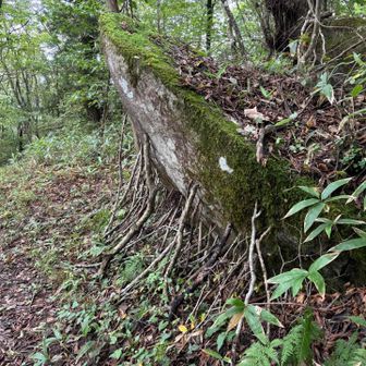岩のつっかえ棒久しぶりに見た😂
瑞牆山とか奥秩父の山でよく見たな