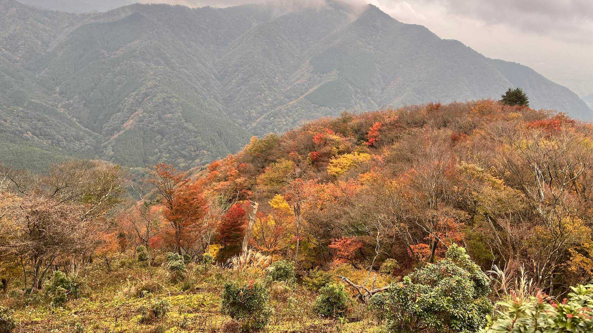 入道ヶ岳-椿大神社奥宮-水沢峠-鎌ヶ岳登山口 周回コースの写真