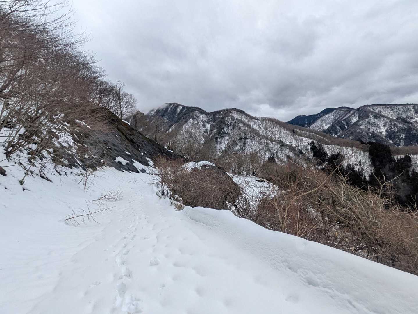 やっと車道に出ました