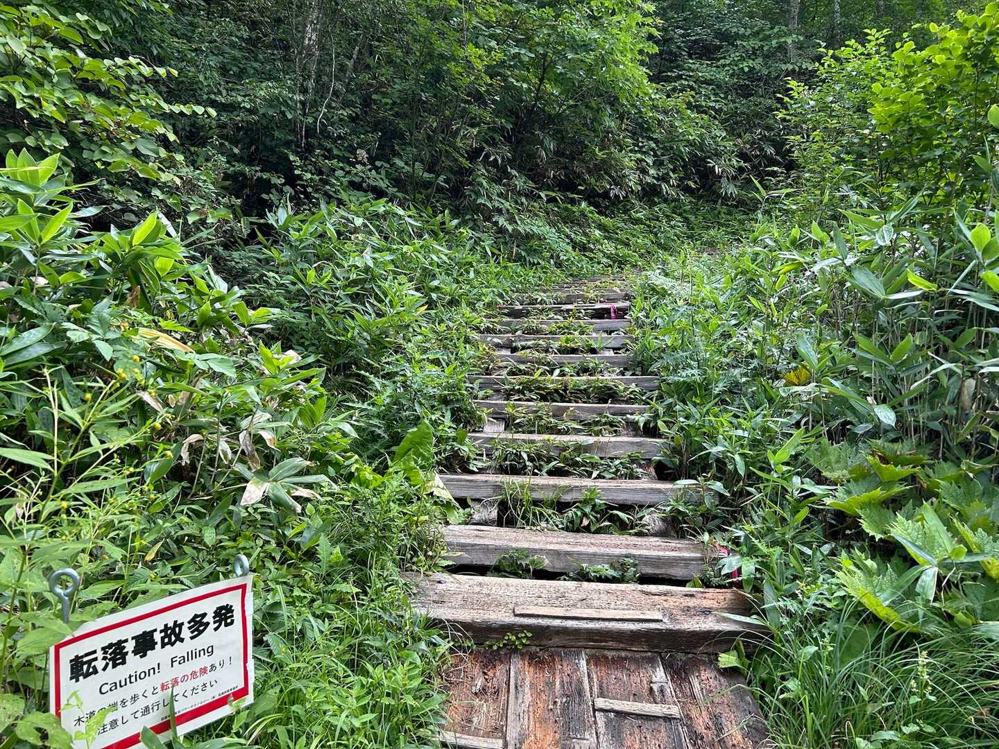 久しぶりの外は、
再びの尾瀬ヶ原です

数日の雨☂️で石段も木の階段も濡れてます

私の中の1番の難関、
この斜面の階段、無事着地出来ました(^^)