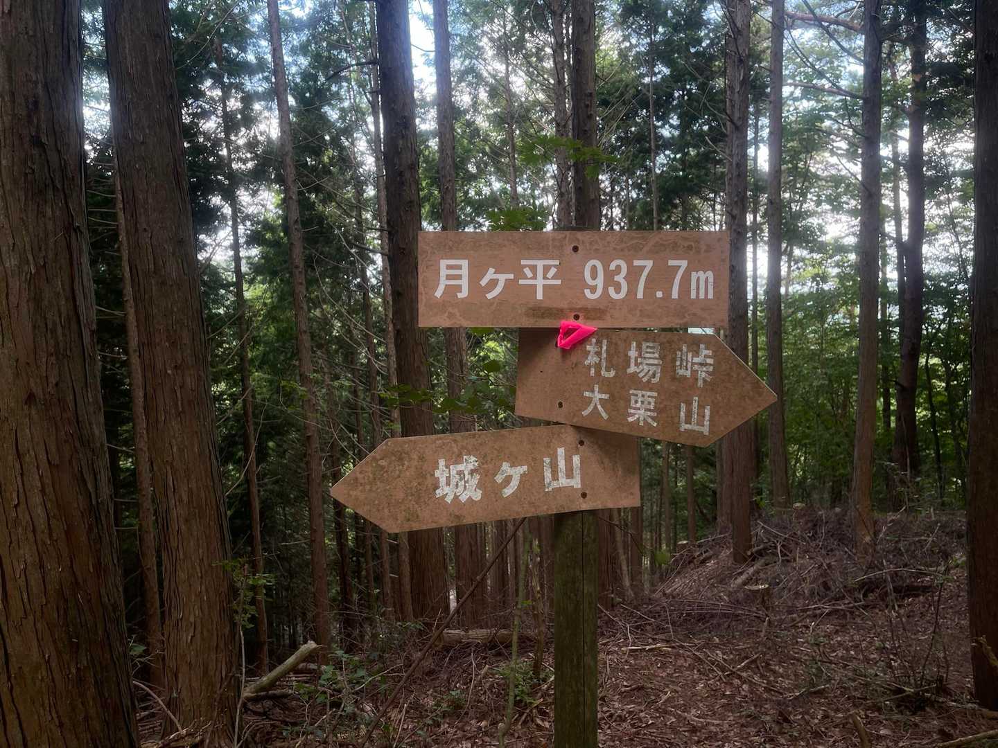 こっちもあっという間に到着（本日2回目の展望ゼロ）