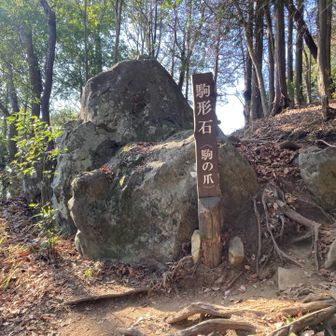 将棋の駒に似てるから？