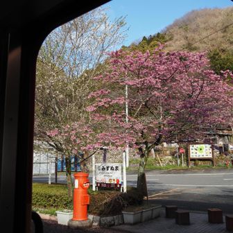 と、迷ってるとすぐにドアが閉まって走り出しちゃいます💦
写真も撮らなきゃだし、結構忙しくてのんびりしてられない