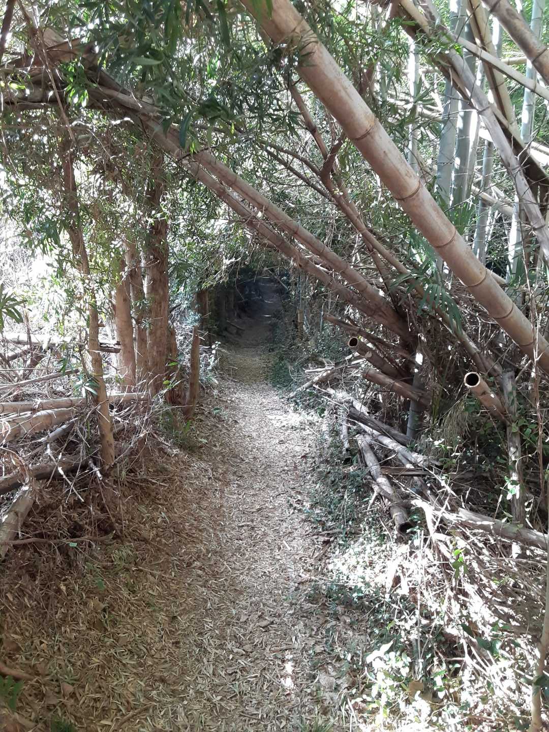 トンネルみたいなとこ❗️
知らないうちに、高積山を通過してました(笑)