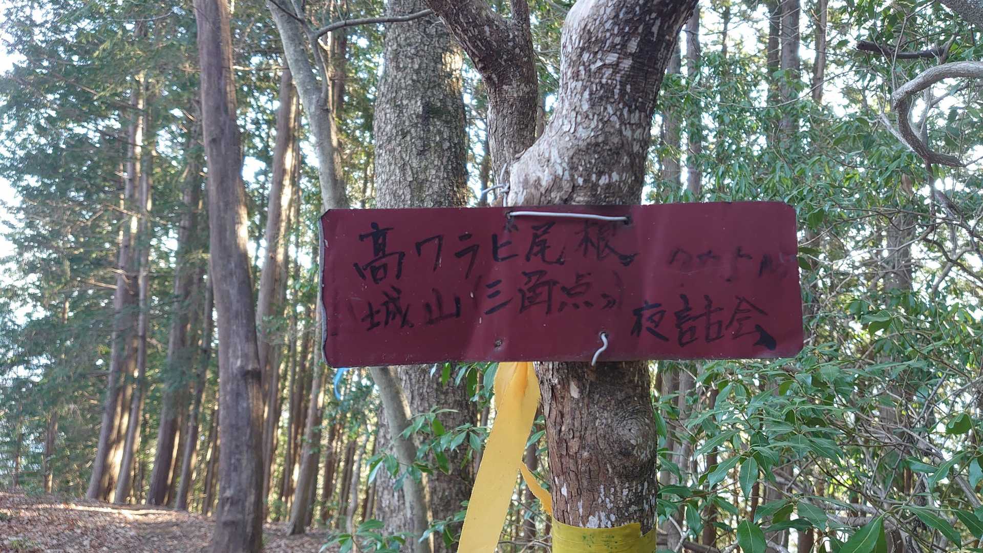 整備ご苦労さまです。