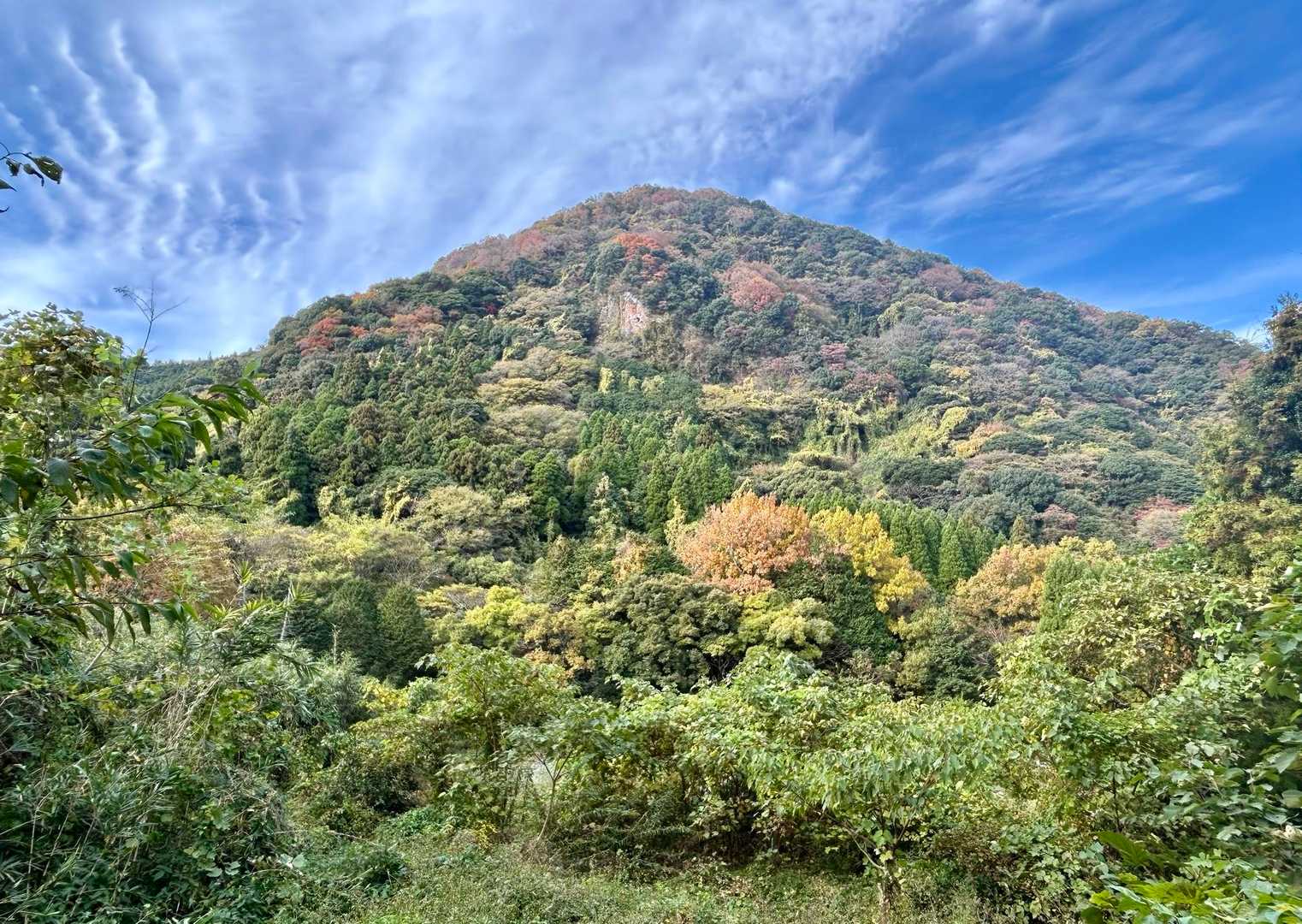 青空あるうちに
カラフル高崎山を((〃´▽｀〃))/“