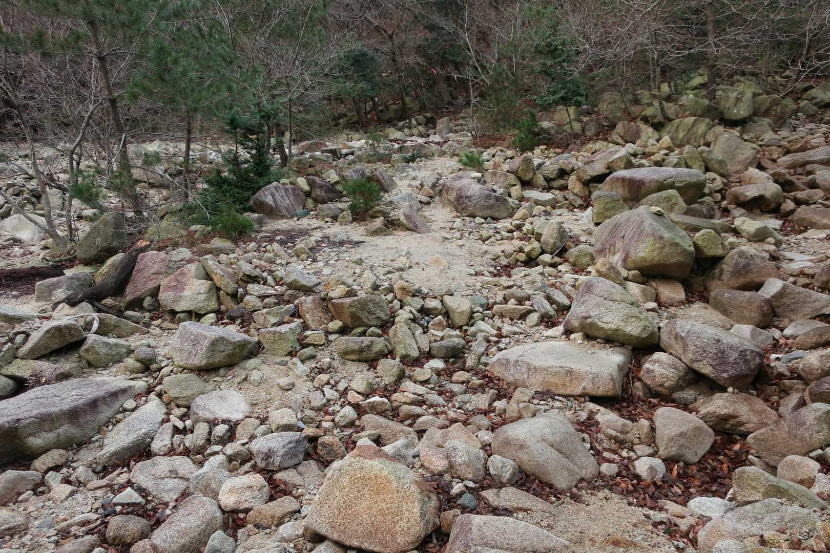 渡渉箇所多めだけど今日は水量少なめ