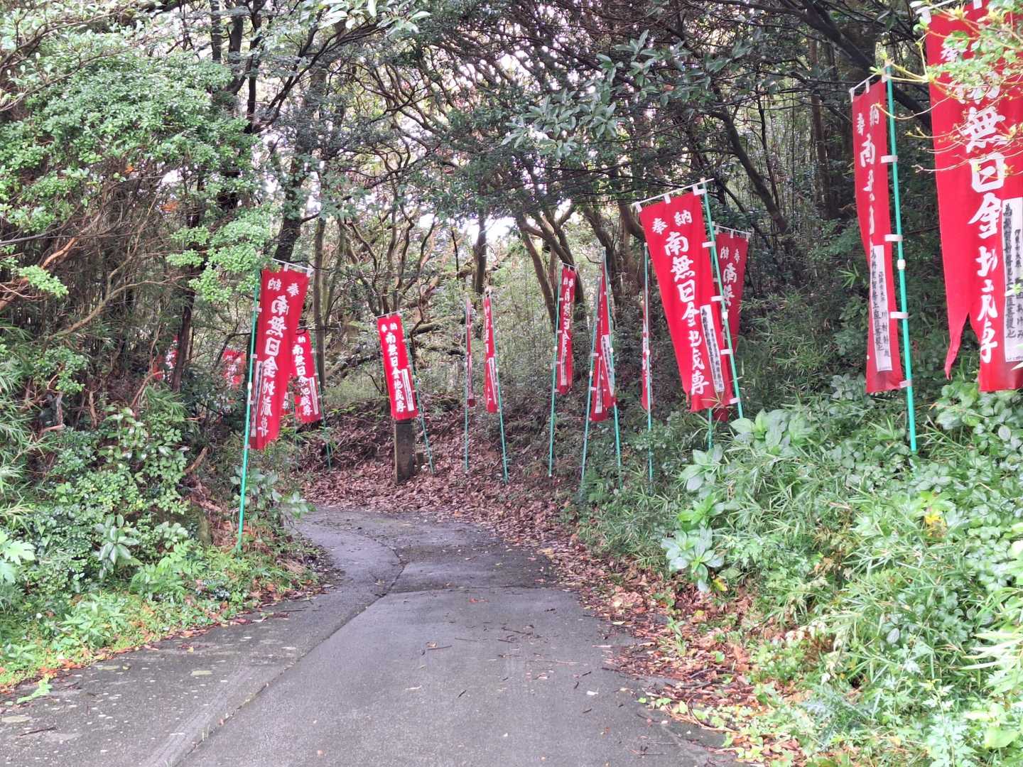 東光寺へ下る道。舗装道路です。