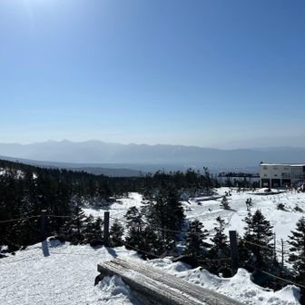 それにしても美しくて前に進めない😅