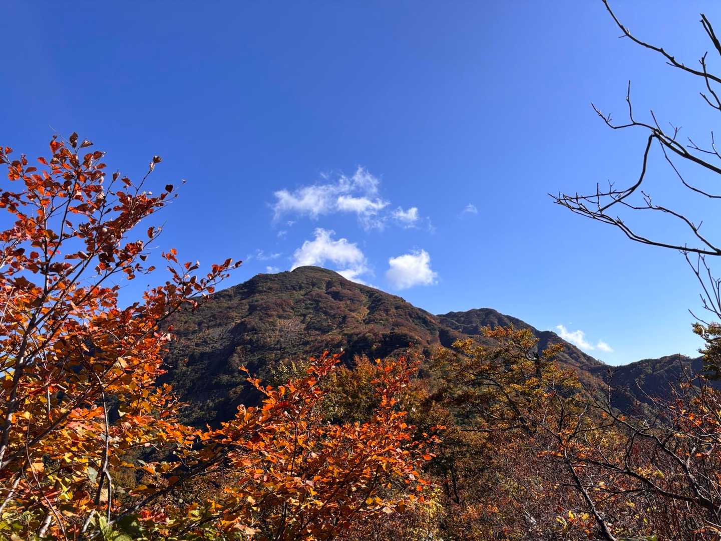 山頂駅-薬師岳 往復コースの写真