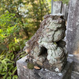 左の狛犬が見慣れないものを足にしている