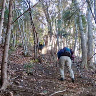 活動再開！実はアップダウンが多いんです💦
二人とも悪態をつきながら登ってます🤣