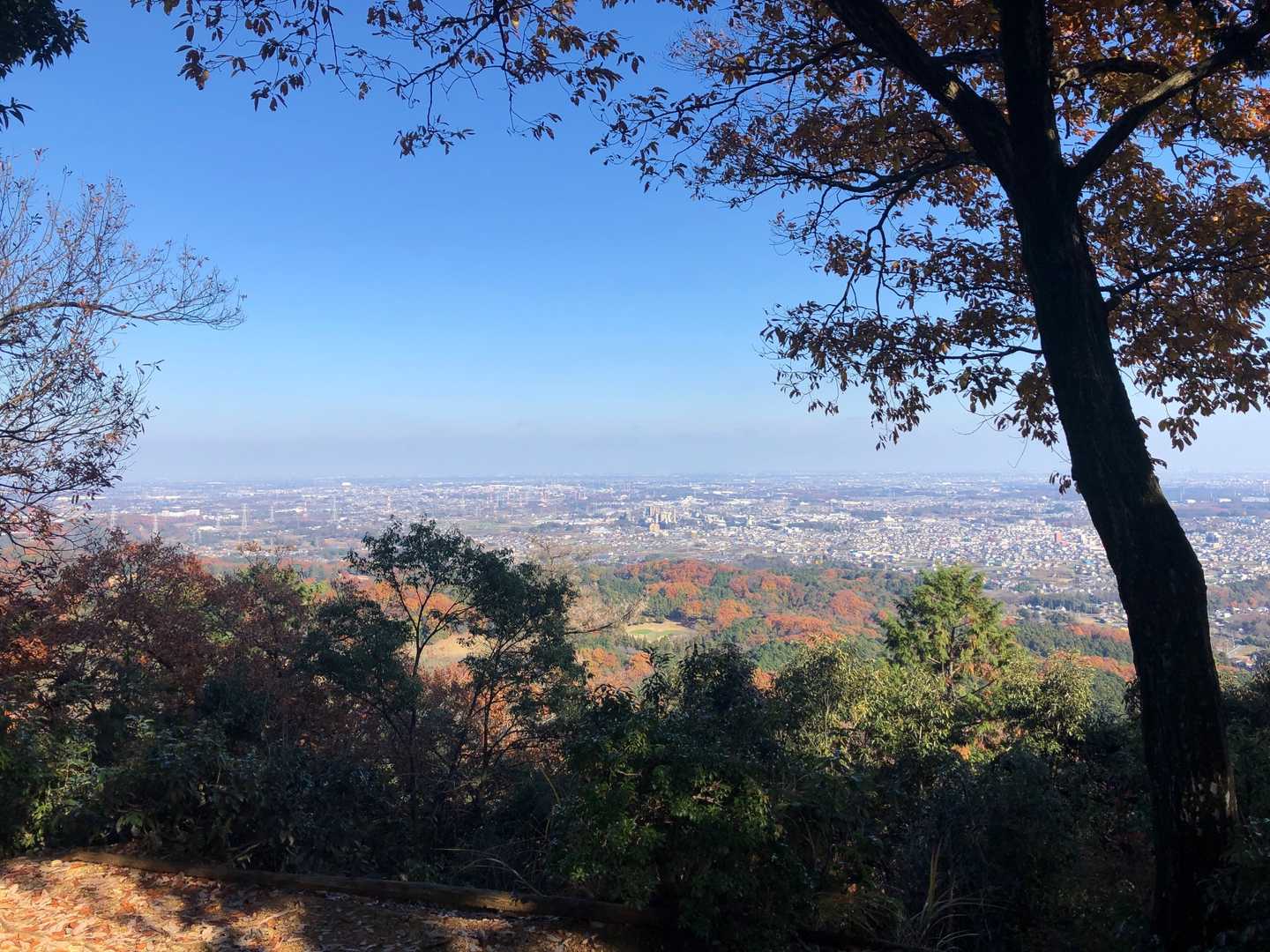 日和田山登山口-金刀比羅神社-日和田山-高指山-物見山-小 往復コースの写真