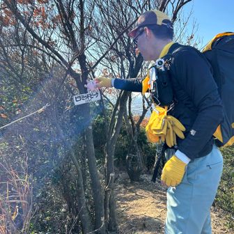 あまりの細尾根下にビビり、ピラミッドピークへの急登に息を切らせて20分、ついに登頂❗️
そして、ここが私の450座✨

今年中に達成できたらいいなって思っていましたが、なんとかギリギリ間に合いました👍