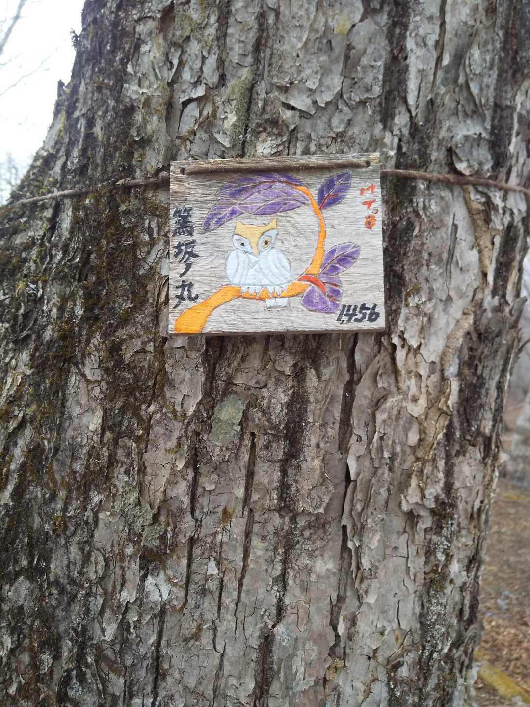 篶坂ノ丸山頂標識