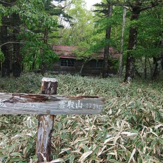 まだ時間早いので　も一回雁峠の方に散歩。今度は空身。